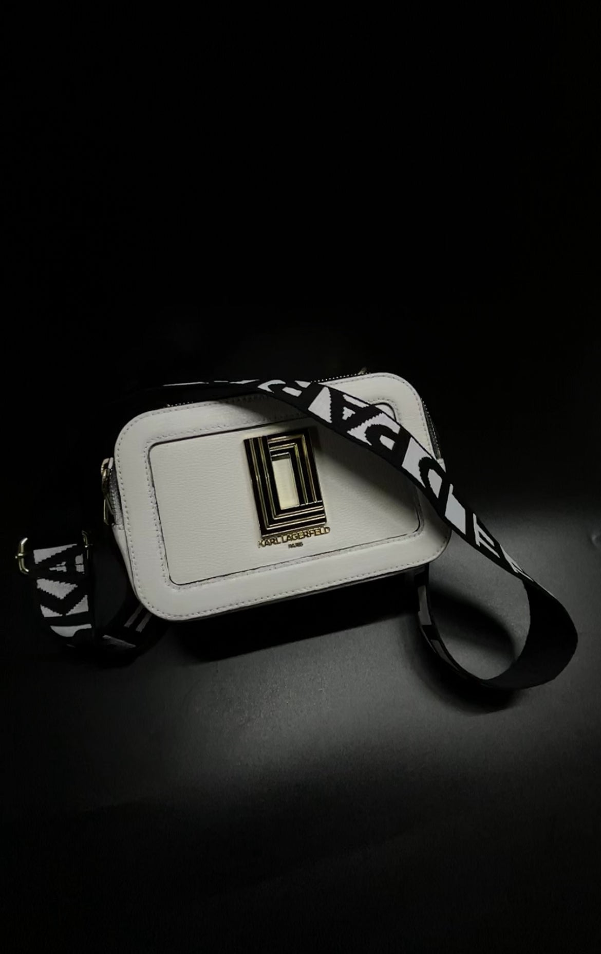 Bag Cleaning & Restoration